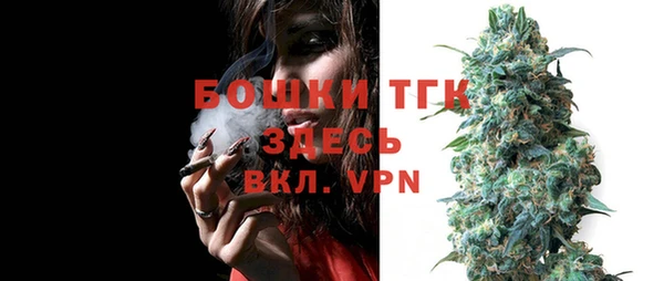ГАЛЛЮЦИНОГЕННЫЕ ГРИБЫ Белокуриха