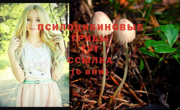 ГАЛЛЮЦИНОГЕННЫЕ ГРИБЫ Белокуриха