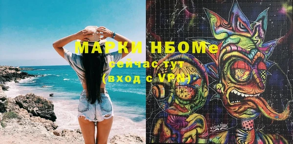 ГАЛЛЮЦИНОГЕННЫЕ ГРИБЫ Белокуриха
