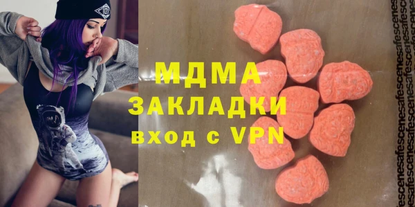 гашик Туринск