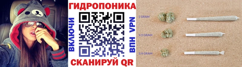 OMG ссылки  Кувандык  Конопля планчик 